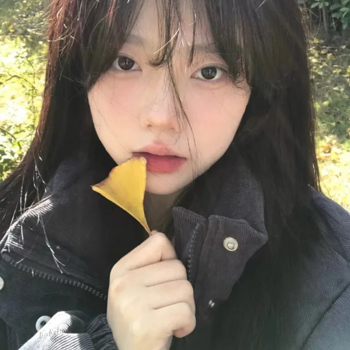 鲨人树儿